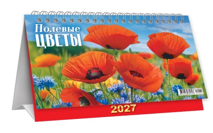 Календарь-домик (большой) на 2027 год "Полевые цветы" 196х130мм