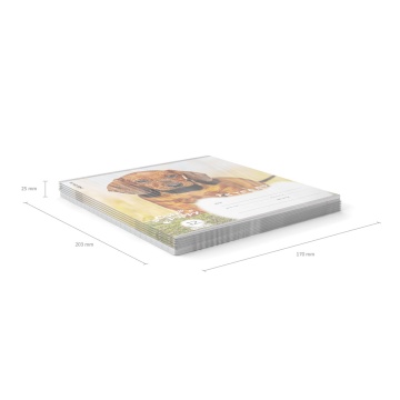 Тетрадь школьная ученическая ErichKrause Щенки, 12 листов, линейка (в плёнке по 10 шт.)_MIX-PACK