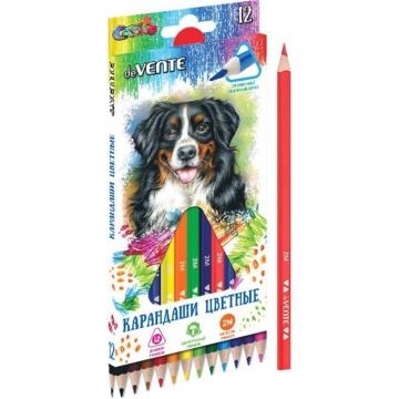 Карандаши цвет. 12цв deVENTE Trio  2М, трехгранные