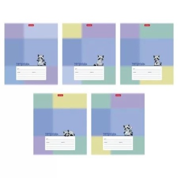 Тетрадь А5 12л косая лин. Hatber "Милый енотик" обл.мел.картон, тисн., 5 диз.в блоке