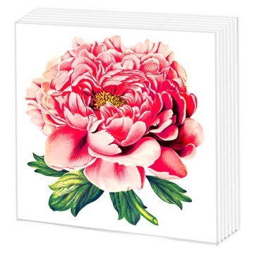 Салфетки бумажные 50л. 24*24см Пионы, 1слой