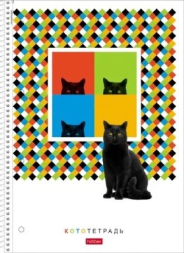 Тетрадь А4 120л кл. гребень Hatber "Тот самый кот" софт-тач, многоуров.перф., 3 разделит.*