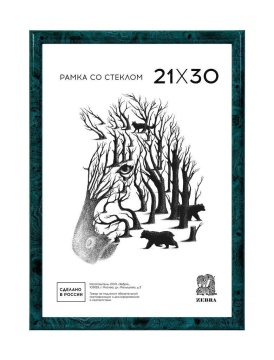 Фоторамка пластик 21*30 506 (Зеленый)