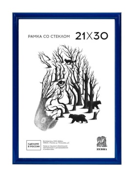 Фоторамка пластик 21*30 504 (Синяя)