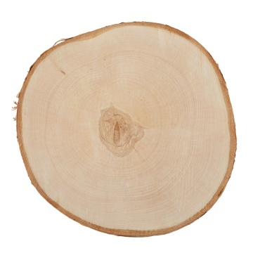 Заготовка деревянная Срез дерева , 20см, береза
