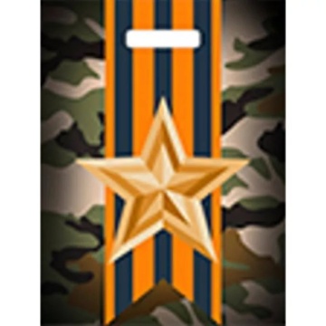 Пакет 40*31см (60мк) с вырубной ручкой "Отвага" Глянец ПВД