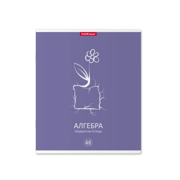 Тетрадь общая ученическая с пластиковой обложкой на скобе ErichKrause Simple Link, АЛГЕБРА, 48 листо