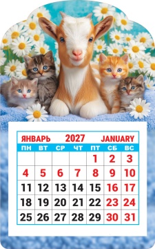 Календарь на магните фигурный 95х150мм на 2027г. "Символ года. В ромашках"