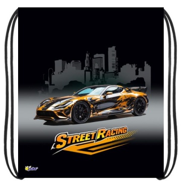 Мешок для обуви. 1 отделение. "Street race" (410*490 мм)