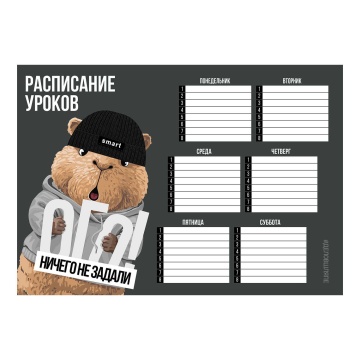 Расписание уроков А4 "Капибара в шапке" выб. УФ-лак, 235гр/м2