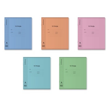 Тетрадь школьная ученическая с пластиковой обложкой на скобе ErichKrause Классика CoverPro matt, Dre