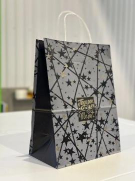 Пакет подар. бумажн. 25*22*12 см, 100 гр/м2 Подарок, крученые ручки