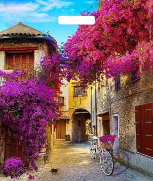 Пакет 45*38см (60мк) с вырубной укрепл. ручкой "Итальянский дворик" Ламинат*