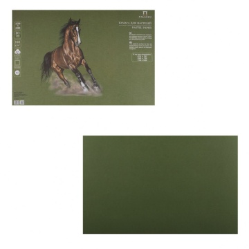 Бумага для паст."Палаццо" 350х500 "Dark jungle" (тёмные джунгли ) 10л 160г .5.