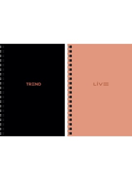 Набор блокнотов 2шт. А5  48л гребень "Два цвета" клетка, + наклейки