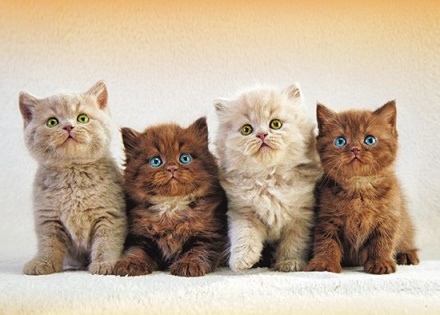 Календарь Трио 295*720мм на 2026г. Моя семья