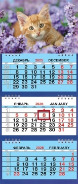 Календарь Трио Малый 200*470мм на 2026г. Котёнок в сирени