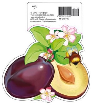 Вырубная фигурка 19*16см "Слива"  УФ -лак