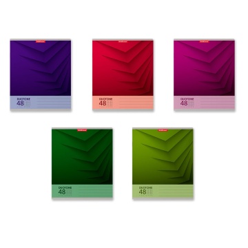 Тетрадь А5 48л кл. Erich Krause "Duotone Next"