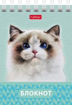 Блокнот А7  40л гребень "Глазки, ушки, носик" клетка