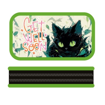 Пенал 2 отд. (190*105*35) молния, лам.картон, ткан.торец "Черный кот"