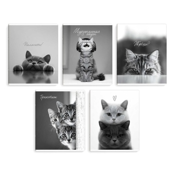 Тетрадь А5 48л кл. Феникс+ "Монохромные коты" выб.твин-лак