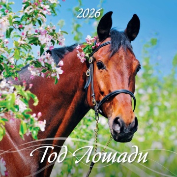 Календарь КВАДРАТ 285*285мм на 2026г. Год лошади