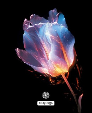 Тетрадь А5 48л кл. Апплика "Цветок на черном"