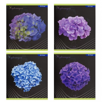 Тетрадь 48л., А5, клетка, Alingar "Hydrange", скрепка, мелованный картон (стандарт), выб УФ лак, блок офсет, 4 дизайна в пленке т.у