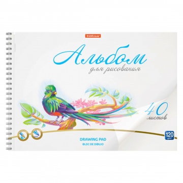 Альбом для рисования 40л.гребень пластик "Birds" 120г.м2 тв.подложка
