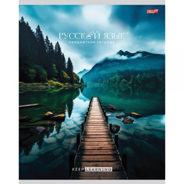 Тетрадь предметная А5 36 листов. Линия. Гармония. Русский язык