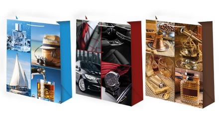 Пакет подар. бумажн. 33*45*10 см, 150гр/м2  Мужской микс