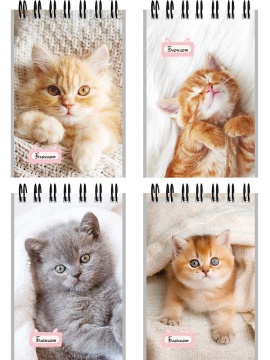 Блокнот А7  40л гребень "Маленькие котята - 1" клетка