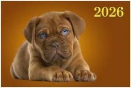 Календарь Трио 310*680мм на 2026г. Забавный щенок