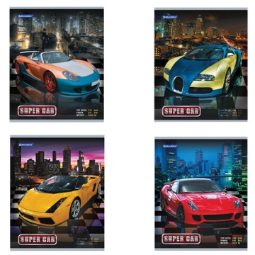 Тетрадь А5 48 л. ЭКО клетка, обложка картон АВТО