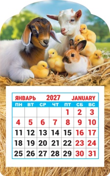 Календарь на магните фигурный 95х150мм на 2027г. "Символ года. Крепкая дружба"
