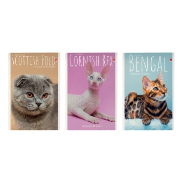 Блокнот А6  40л скоба "Котята" клетка, ассорти