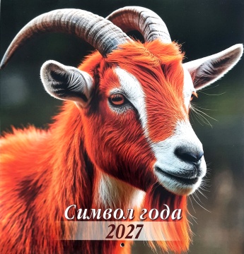 Календарь КВАДРАТ (средний) 230х235мм на 2027 год "Символ года. Рыжее чудо"