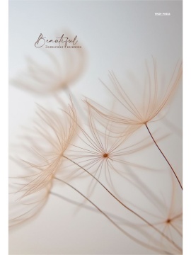 Тетрадь А4 7БЦ 80л кл. сшивка Проф-Пресс "Бежевый тон" глянц.лам.