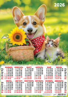 Календарь ЛИСТОВОЙ А2 420*595мм на 2026г. Кот и пёс. Подарок с подсолнухом