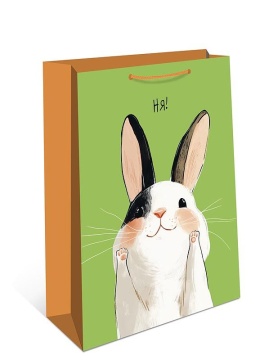 Пакет подар. бумажн. 18*23*10 см, 130гр/м2 Зайка