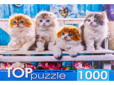 Пазлы 1000 элементов  685*480мм. "Котята скоттиш фолд"