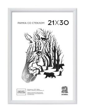 Фоторамка пластик 21*30 500 (Белая)