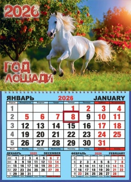 Календарь настенный 310*420мм на 2026г. ОДНОБЛОЧНЫЙ с курсором и календ.сеткой "Лошадь в яблоках"