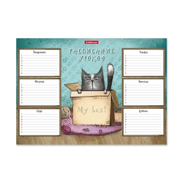 Расписание уроков ErichKrause Кот в коробке, А4