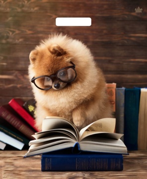 Пакет с вырубной неус. ручкой 45х38 (60мк) Умник