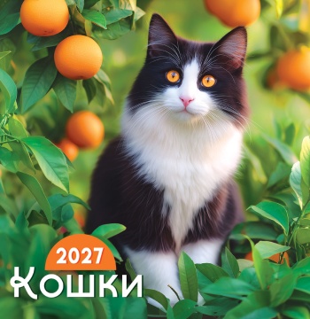 Календарь КВАДРАТ (средний) 230х235мм на 2027 год "Кошки" (12 л, скреп)
